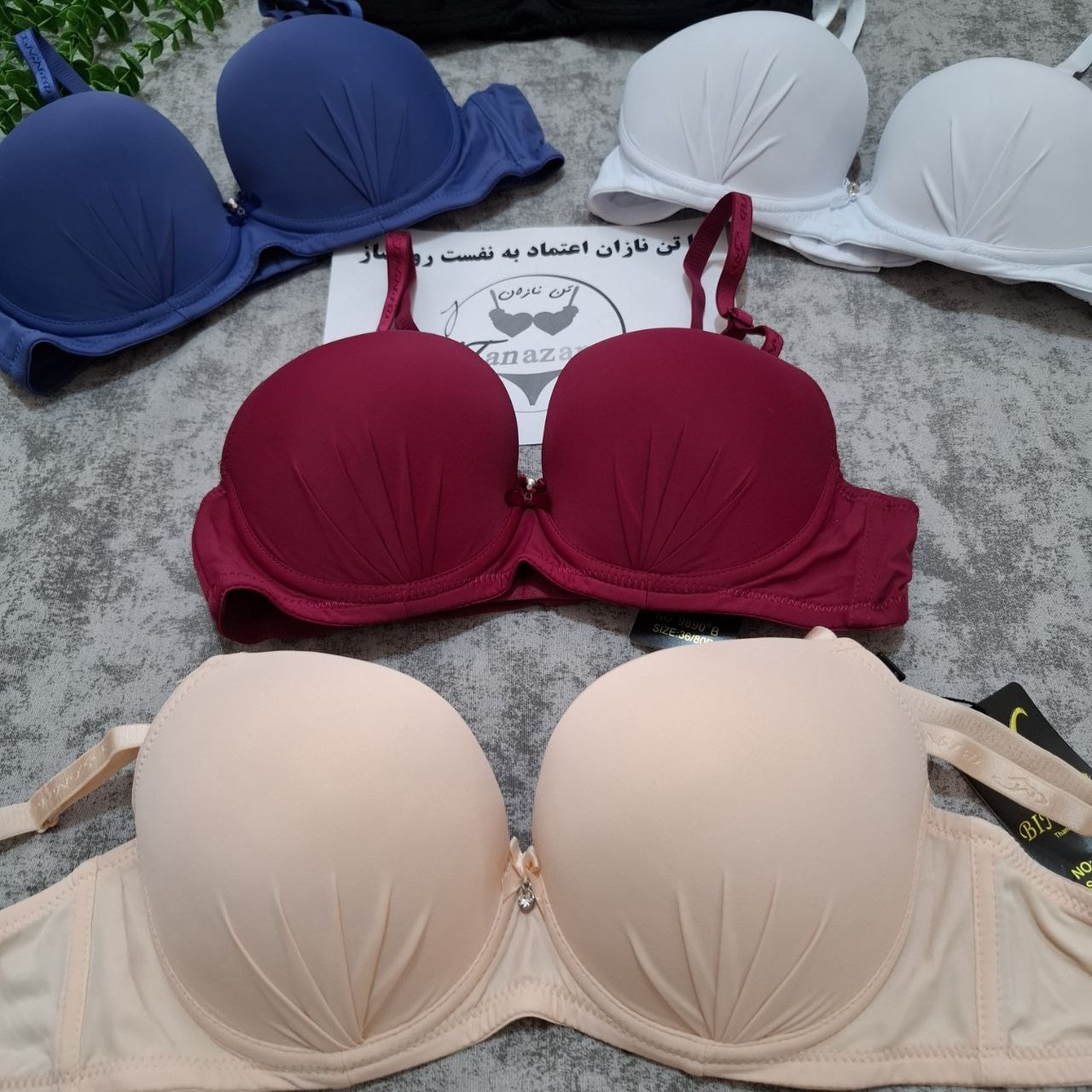 سوتین اسفنجی زنانه برند Binnys